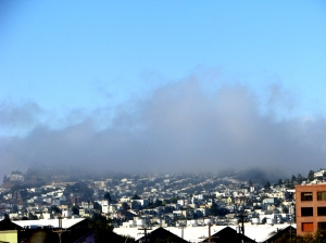 Neblina em São Francisco - eles adoram, já os turistas